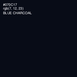 #070C17 - Blue Charcoal Color Image